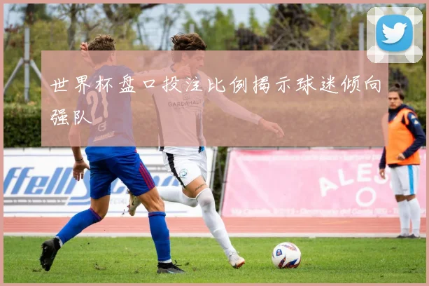 世界杯盘口投注比例揭示球迷倾向强队