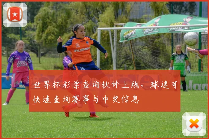 世界杯彩票查询软件上线,球迷可快速查询赛事与中奖信息