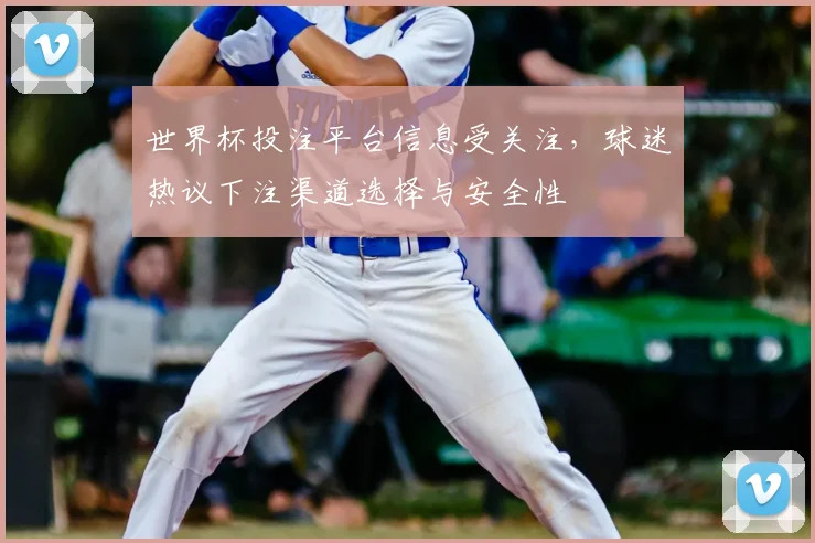 世界杯投注平台信息受关注，球迷热议下注渠道选择与安全性
