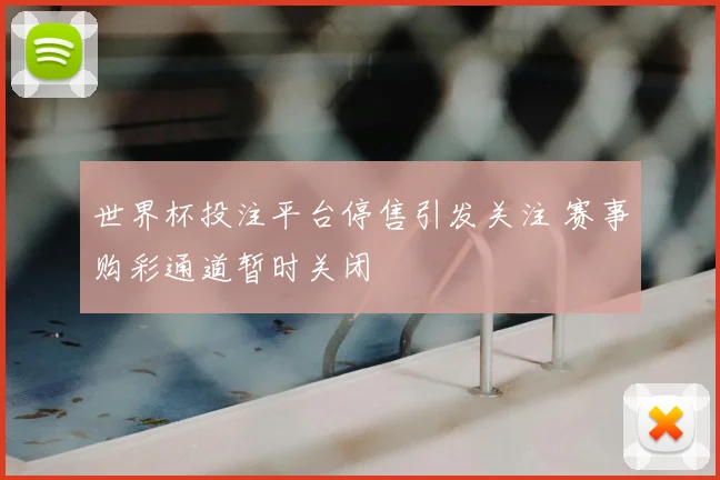 世界杯投注平台停售引发关注 赛事购彩通道暂时关闭