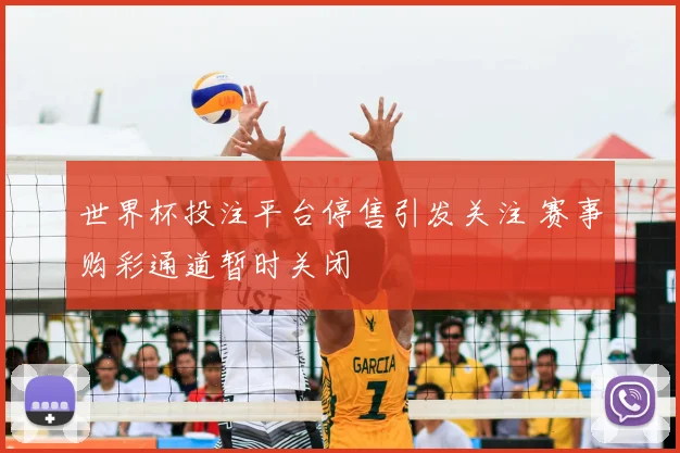 世界杯投注平台停售引发关注 赛事购彩通道暂时关闭