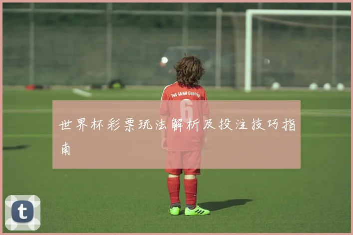世界杯彩票玩法解析及投注技巧指南