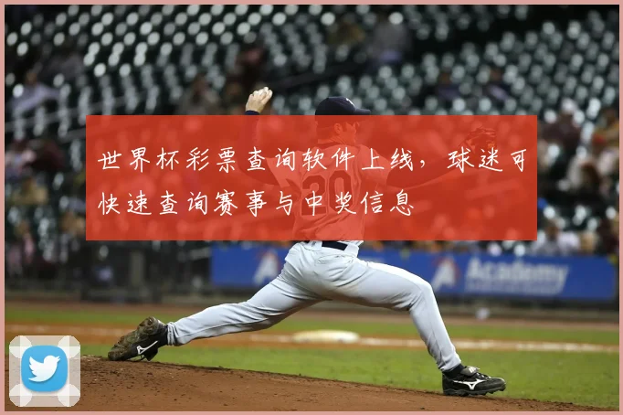 世界杯彩票查询软件上线，球迷可快速查询赛事与中奖信息