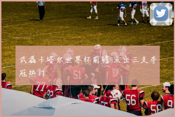 武磊卡塔尔世界杯前瞻 点出三支夺冠热门
