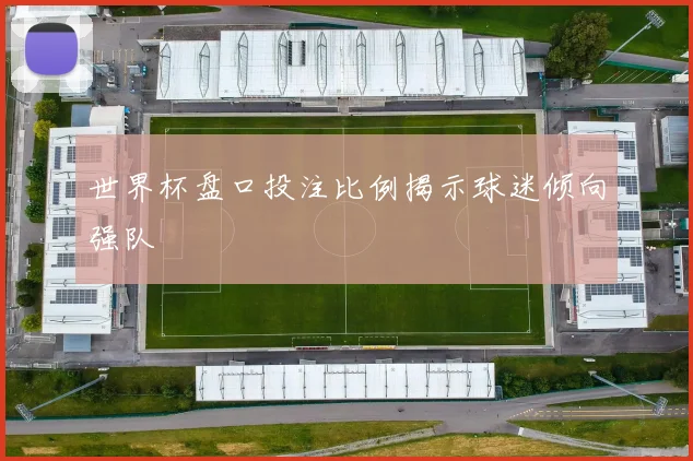 世界杯盘口投注比例揭示球迷倾向强队