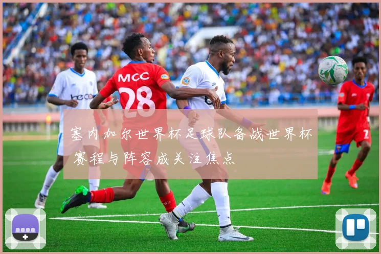 塞内加尔世界杯足球队备战世界杯 赛程与阵容成关注焦点