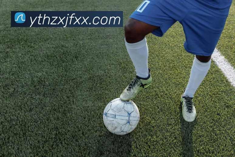 mksports网站服务体系